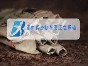 雨中百合如果爱还在原唱完整版