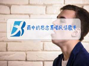 雨中的思念原唱风语歌单