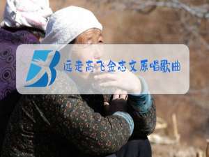 远走高飞金志文原唱歌曲