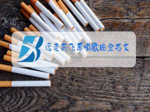 远走高飞原唱歌曲金志文云朵