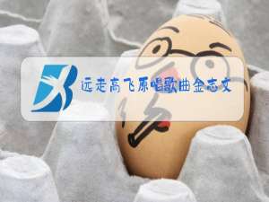 远走高飞原唱歌曲金志文表达什么