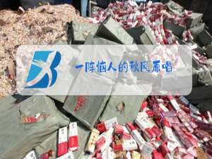 一阵恼人的秋风原唱