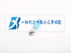 一种思念叫做永远原唱歌词