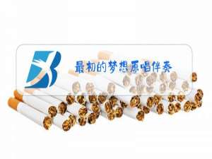 最初的梦想原唱伴奏