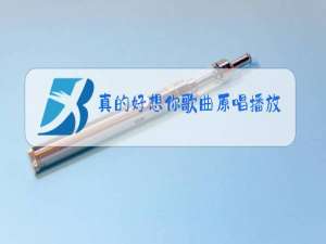 真的好想你歌曲原唱播放