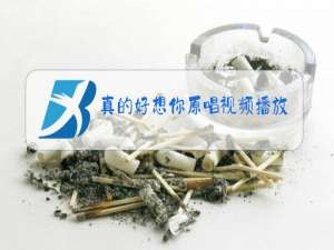 真的好想你原唱视频播放