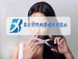 真的好想你原唱视频歌曲
