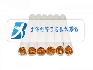 主等你等了这么久原唱