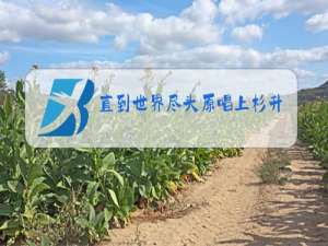 直到世界尽头原唱上杉升