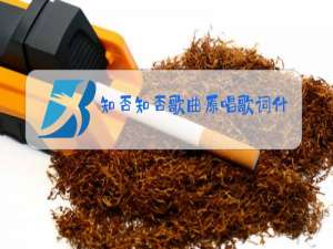 知否知否歌曲原唱歌词什么意思