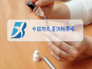 中国功夫屠洪刚原唱