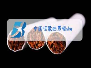 中国话歌曲原唱she