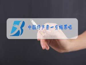 中国好声音一剪梅原唱