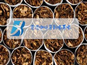 走过咖啡屋翻唱原唱