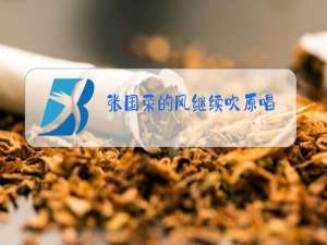 张国荣的风继续吹原唱