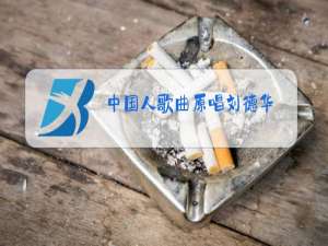 中国人歌曲原唱刘德华,纯音乐视频