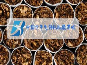 中国少年先锋队队歌原唱 小学