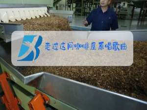 走过这间咖啡屋原唱歌曲