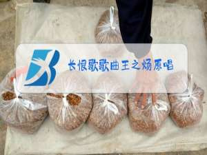 长恨歌歌曲王之炀原唱