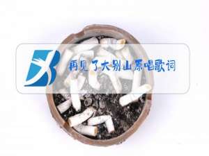 再见了大别山原唱歌词