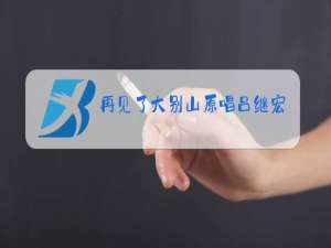 再见了大别山原唱吕继宏歌词是什么意思