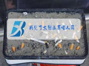 再见了大别山原唱人耳