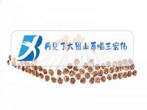 再见了大别山原唱王宏伟