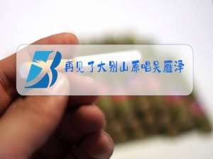 再见了大别山原唱吴雁泽ktv