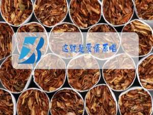 这就是爱情原唱