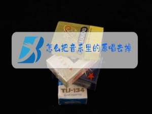怎么把音乐里的原唱去掉