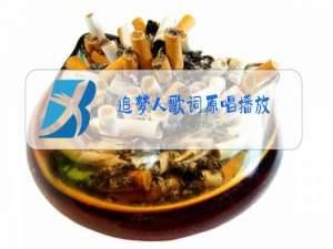 追梦人歌词原唱播放
