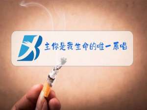 主你是我生命的唯一原唱