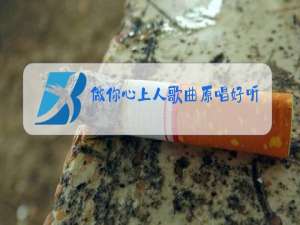 做你心上人歌曲原唱好听的歌曲