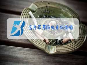 这片草原降央卓玛演唱