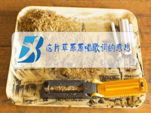 这片草原原唱歌词的意思