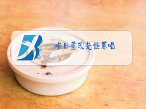 昨日重现是谁原唱