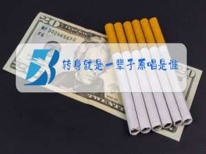 转身就是一辈子原唱是谁