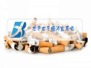 左手右手杨沛宜原唱