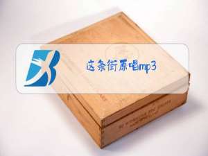 这条街原唱mp3