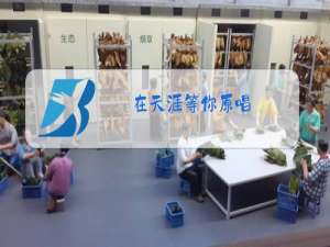 在天涯等你原唱