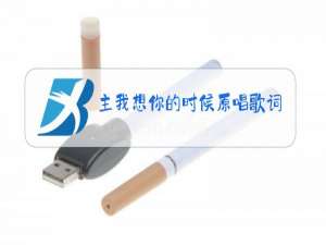 主我想你的时候原唱歌词