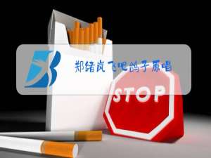 郑绪岚飞吧鸽子原唱