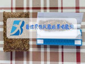 最炫民族风歌曲原唱歌词
