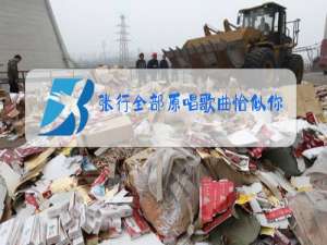 张行全部原唱歌曲恰似你的温柔