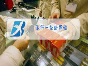 张行一条路原唱