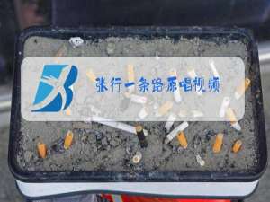 张行一条路原唱视频