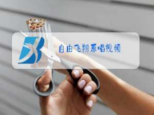 自由飞翔原唱视频