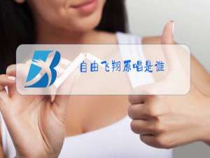 自由飞翔原唱是谁