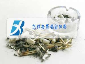 怎样去原唱留伴奏