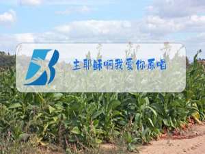 主耶稣啊我爱你原唱